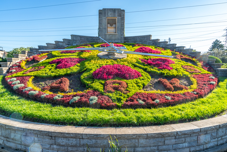 Floral Clock