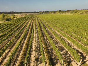 The Best Niagara-on-the-Lake Winery Tour