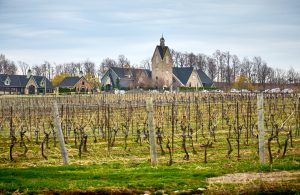 Scenic view of a winery in Niagara-on-the-Lake, Ontario, with lush vineyards and a charming heritage building