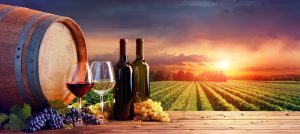 The Ultimate Niagara Falls Foodie Tour Guide for Wine Lovers and Culinary Travelers