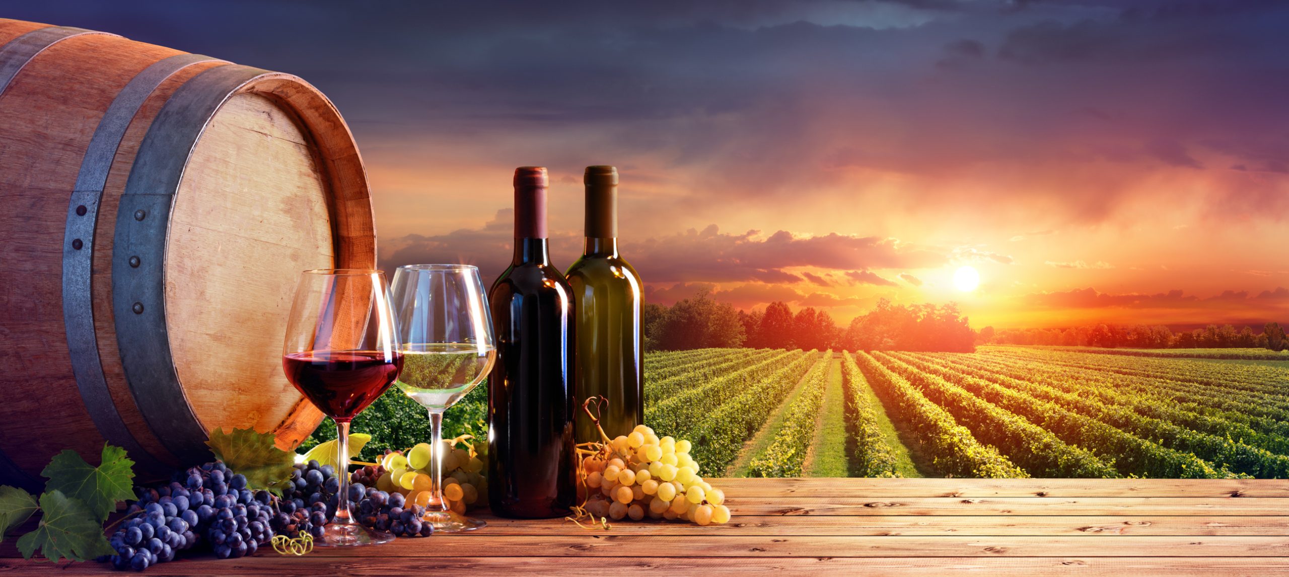 The Ultimate Niagara Falls Foodie Tour Guide for Wine Lovers and Culinary Travelers
